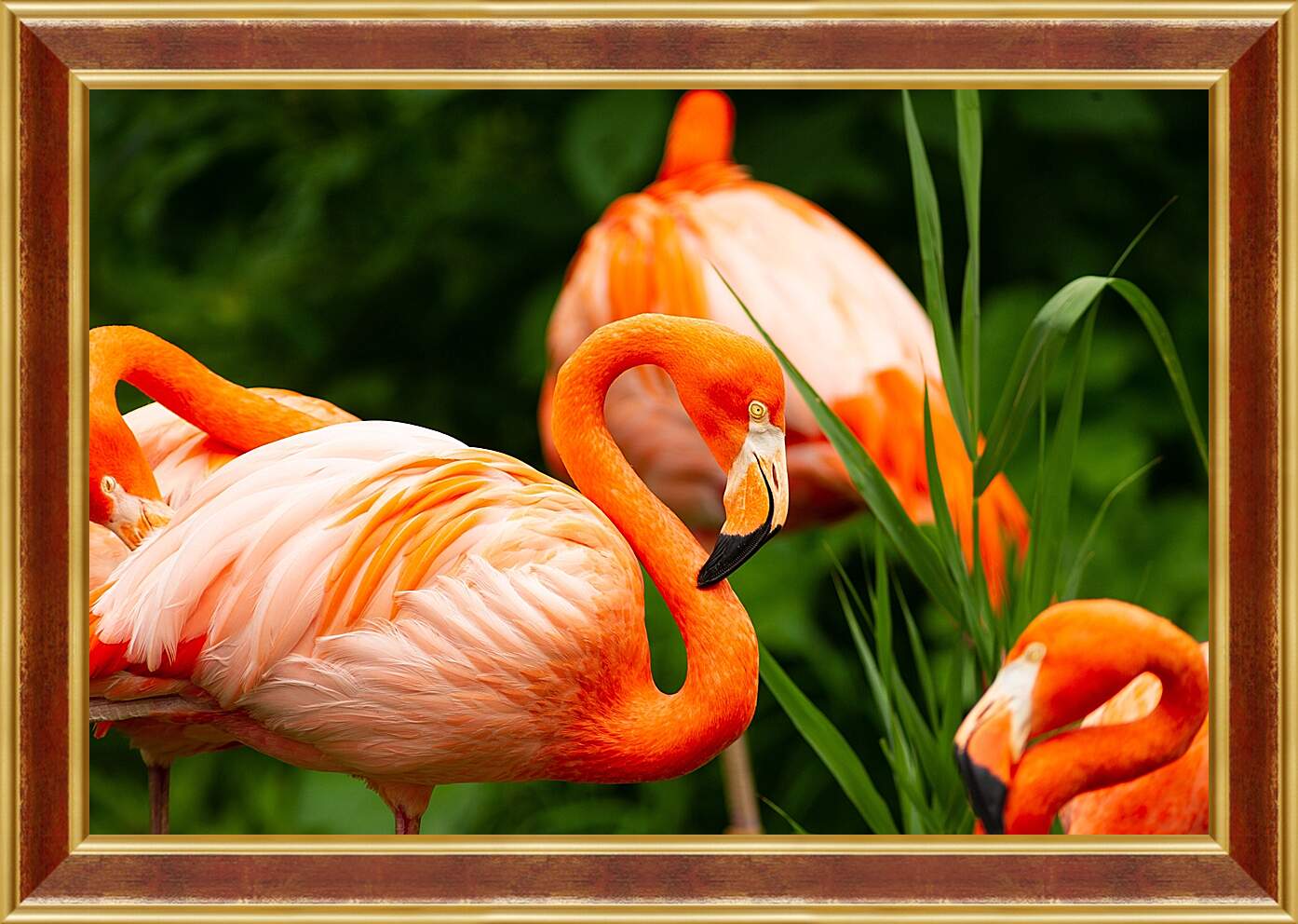 Картина в раме - Фламинго в траве