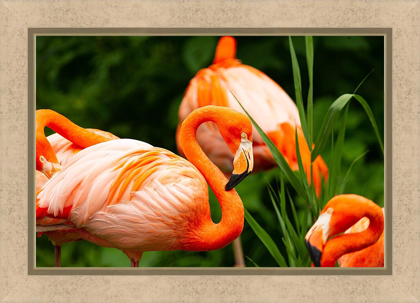 Картина в раме - Фламинго в траве