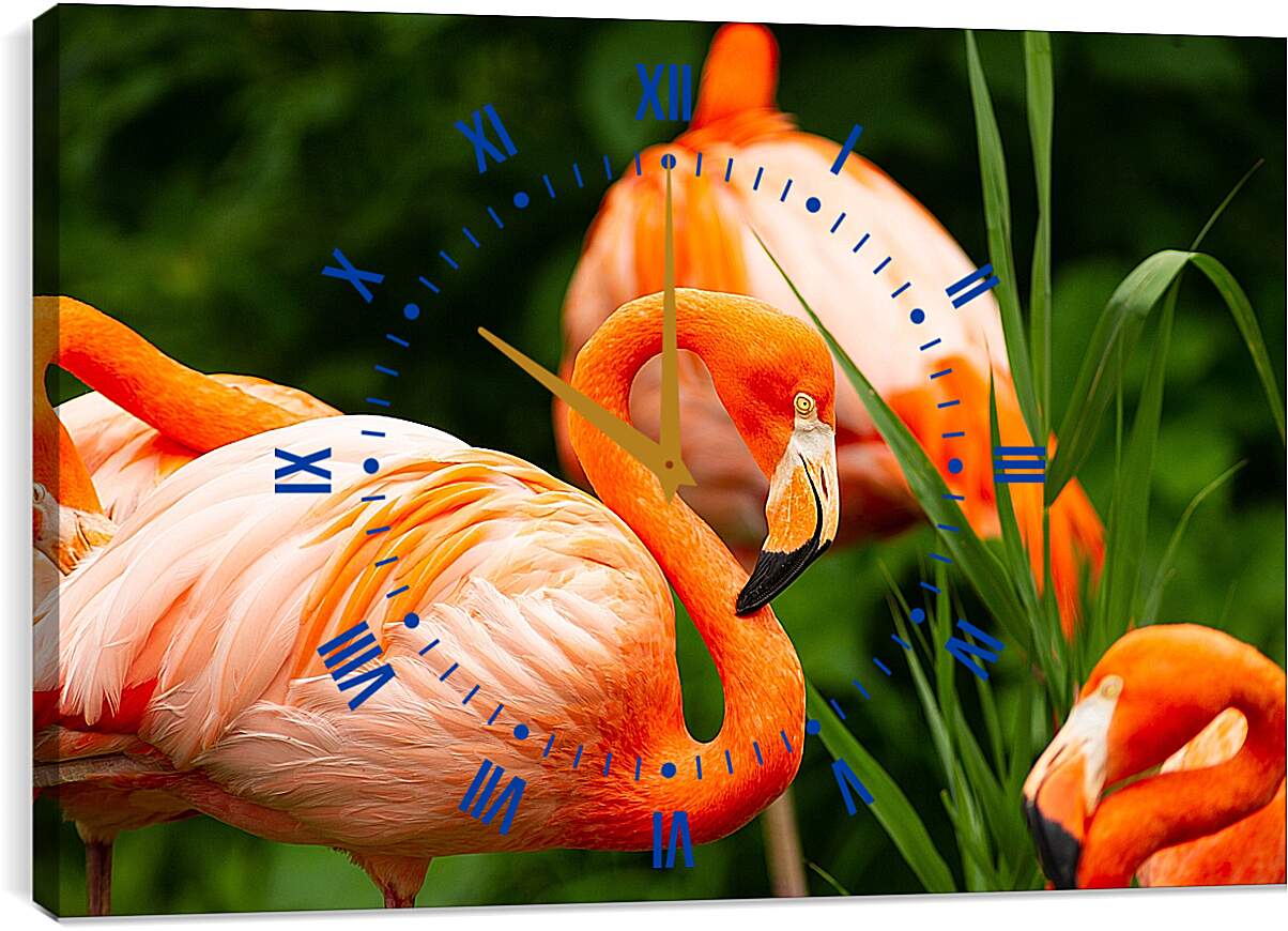 Часы картина - Фламинго в траве
