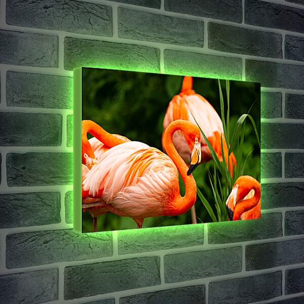 Лайтбокс световая панель - Фламинго в траве
