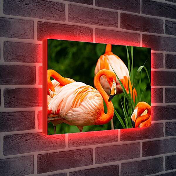 Лайтбокс световая панель - Фламинго в траве
