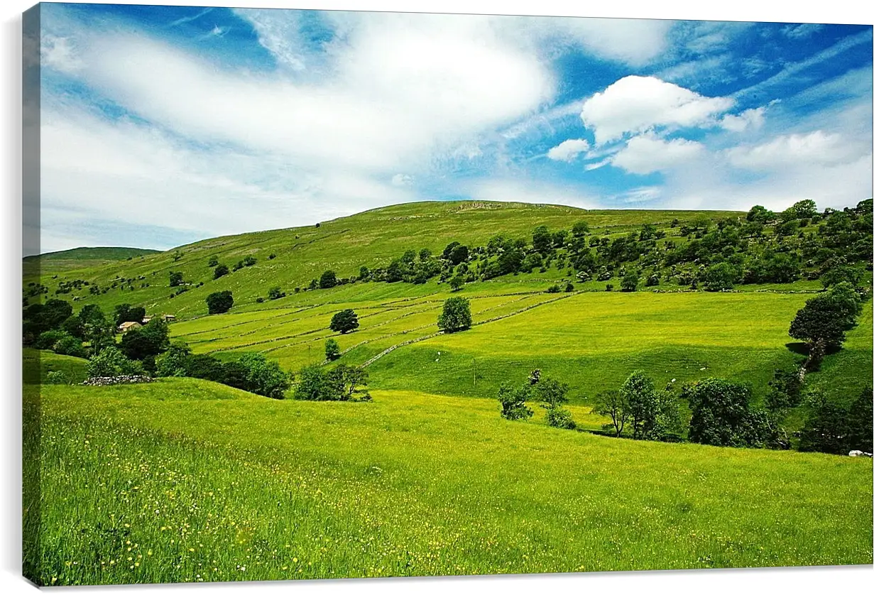 Постер и плакат - Лето