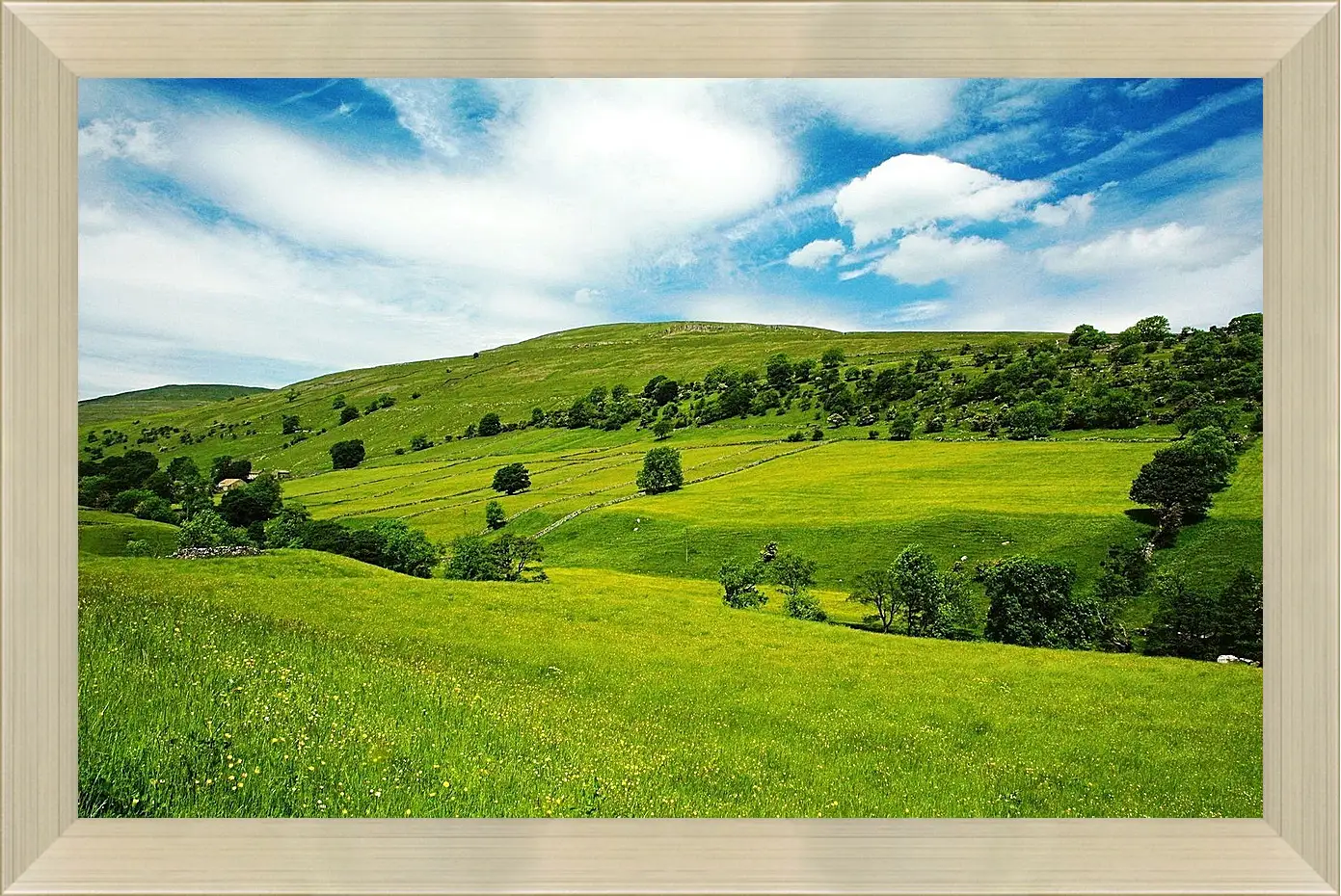 Картина в раме - Лето