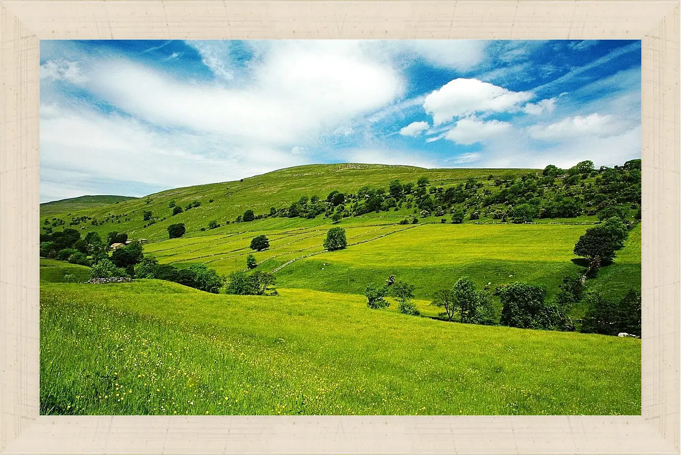 Картина в раме - Лето