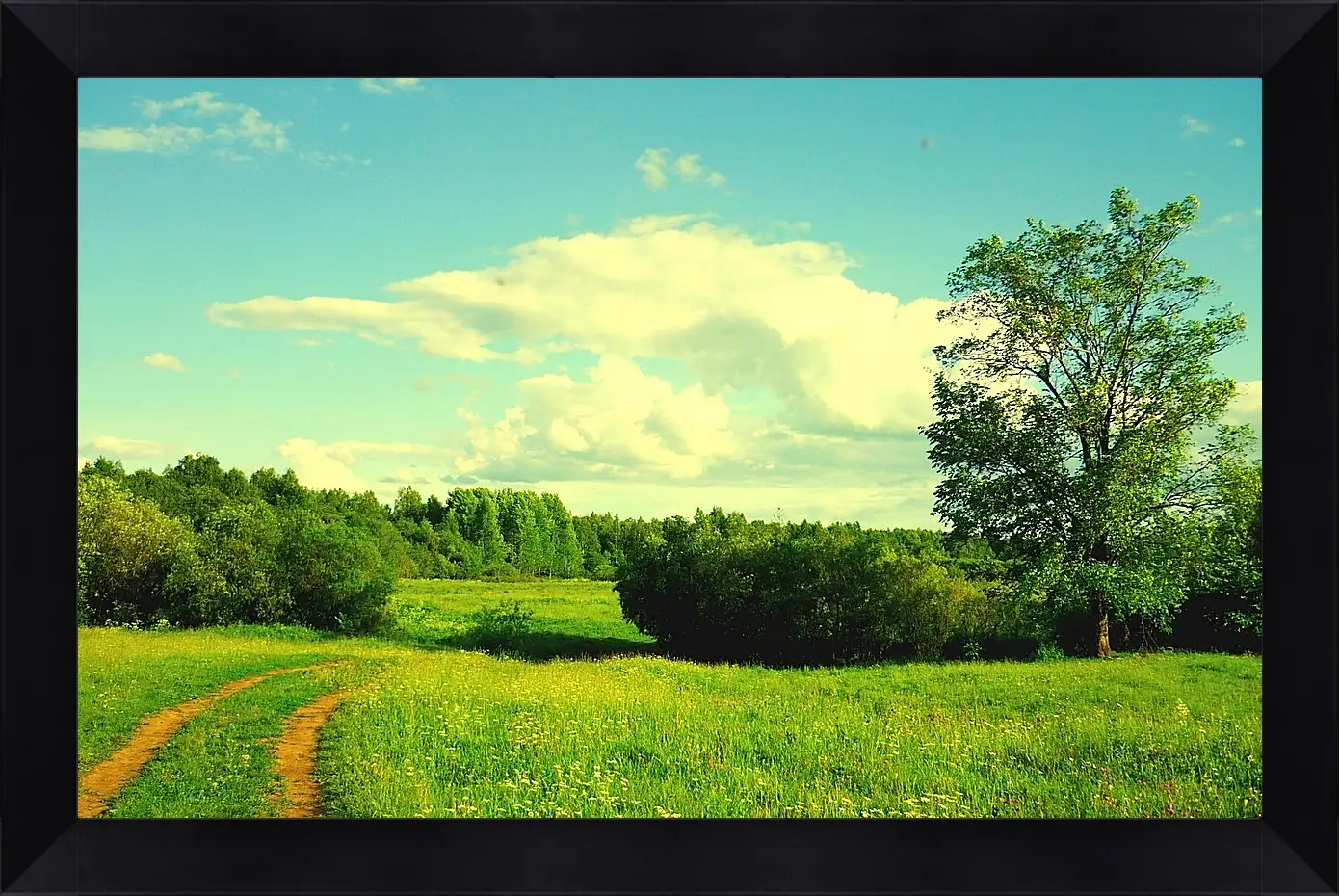 Картина в раме - Лето