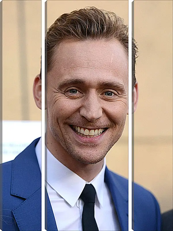 Модульная картина - Том Хиддлстон. Thomas Hiddleston