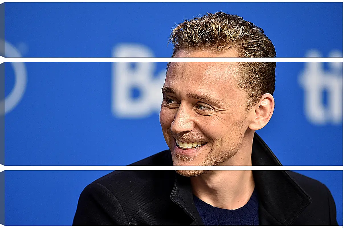 Модульная картина - Том Хиддлстон. Thomas Hiddleston