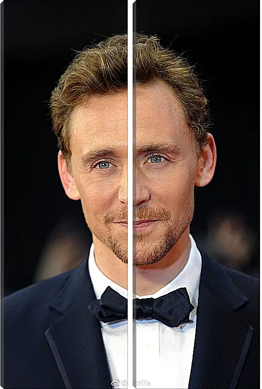 Модульная картина - Том Хиддлстон. Thomas Hiddleston