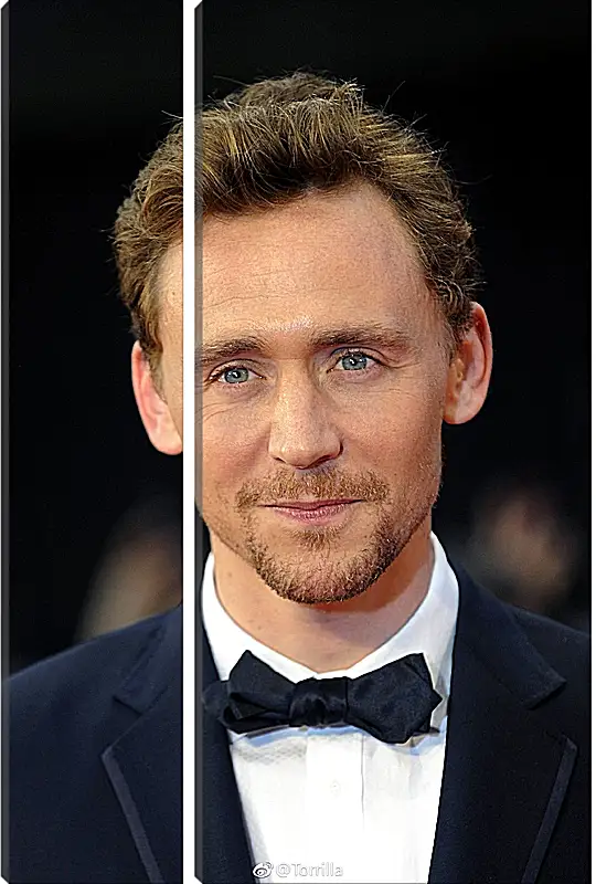 Модульная картина - Том Хиддлстон. Thomas Hiddleston