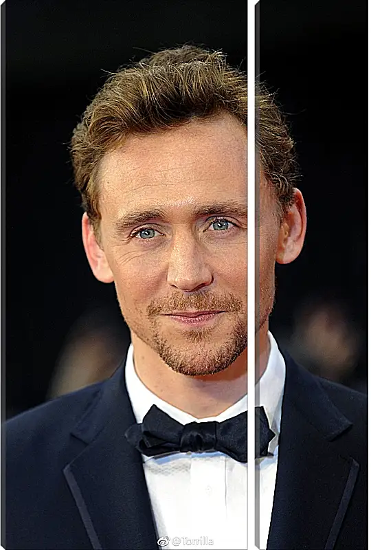 Модульная картина - Том Хиддлстон. Thomas Hiddleston