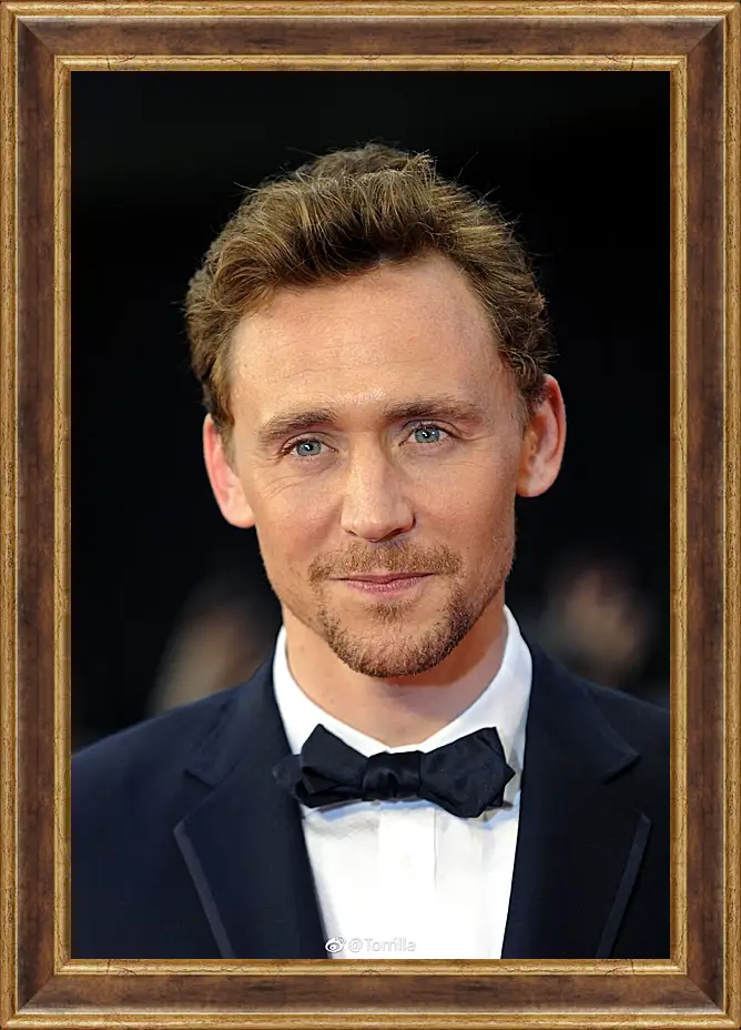 Картина в раме - Том Хиддлстон. Thomas Hiddleston