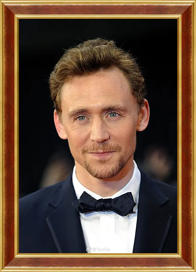 Картина в раме - Том Хиддлстон. Thomas Hiddleston