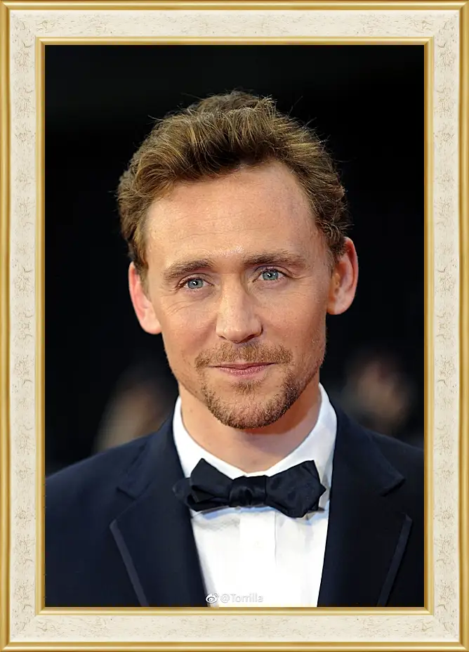 Картина в раме - Том Хиддлстон. Thomas Hiddleston