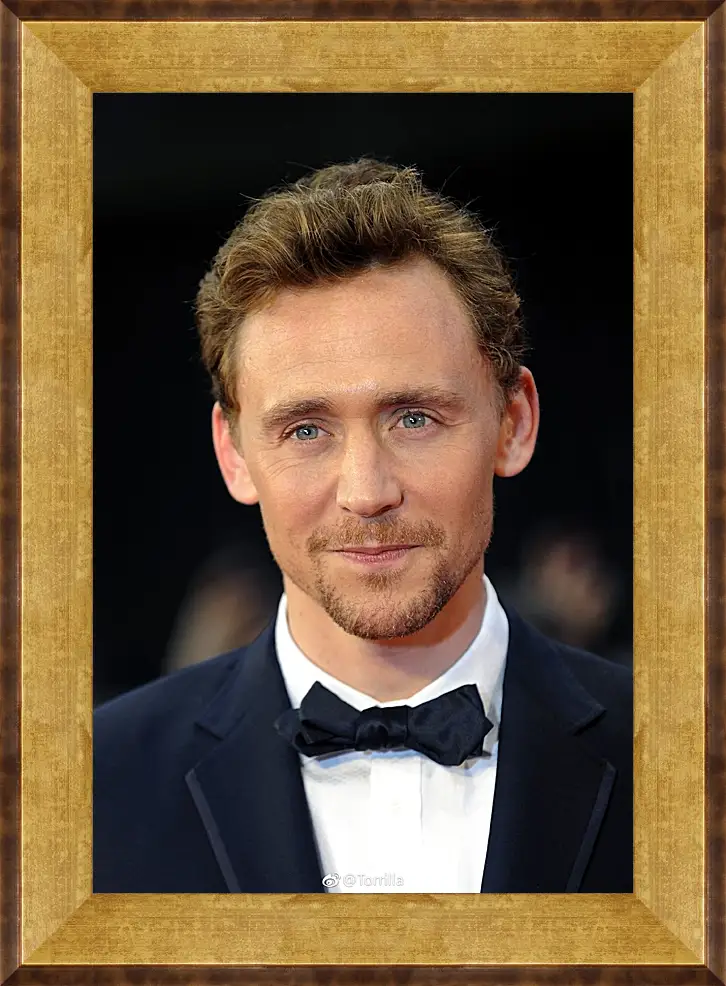 Картина в раме - Том Хиддлстон. Thomas Hiddleston