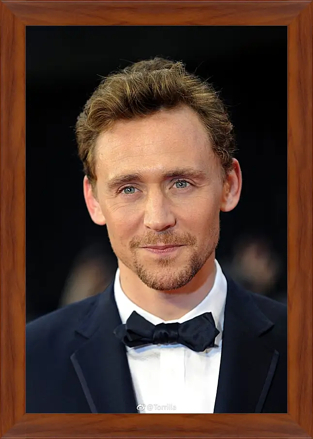 Картина в раме - Том Хиддлстон. Thomas Hiddleston