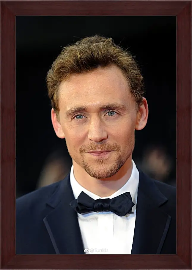 Картина в раме - Том Хиддлстон. Thomas Hiddleston