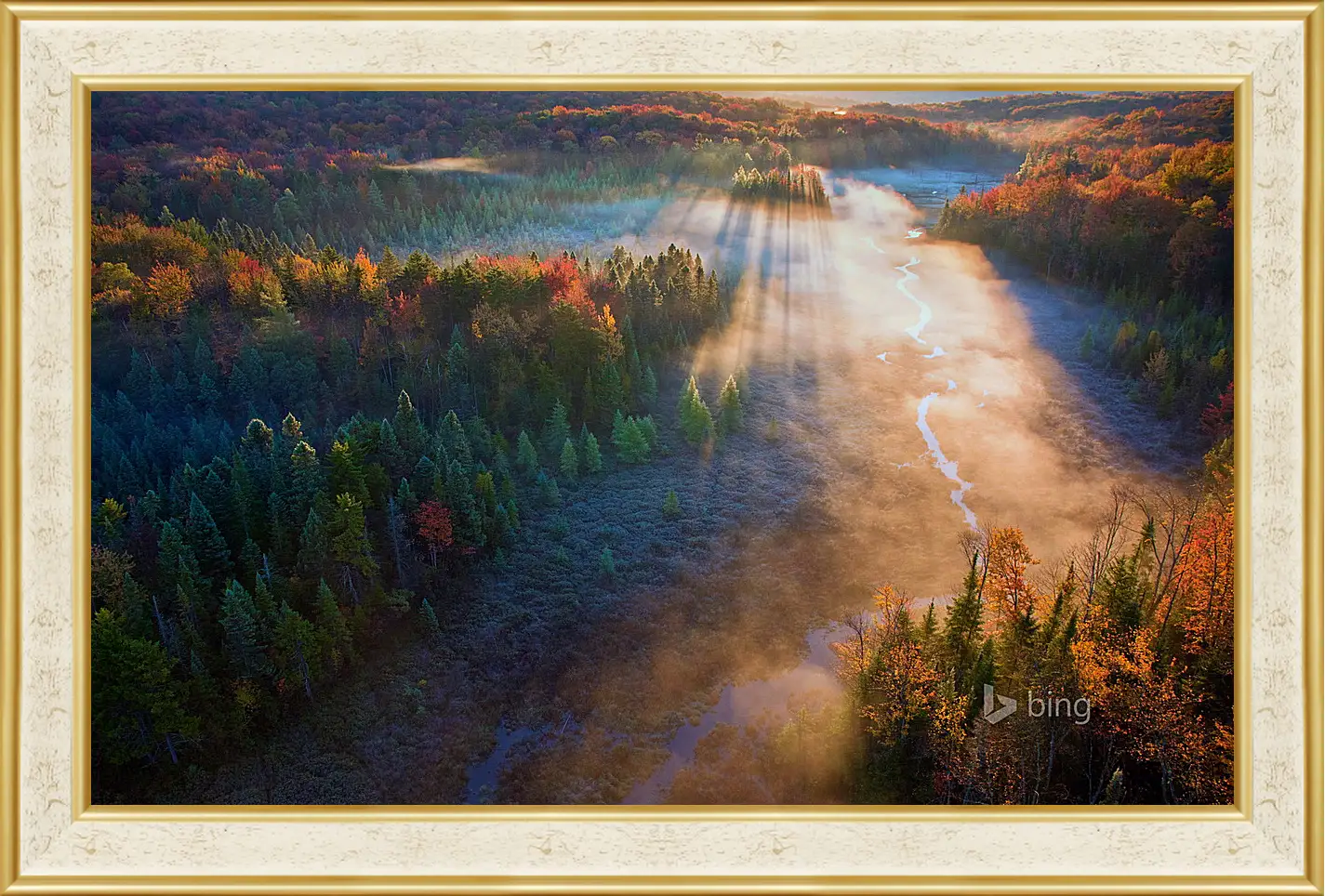 Картина в раме - Осень