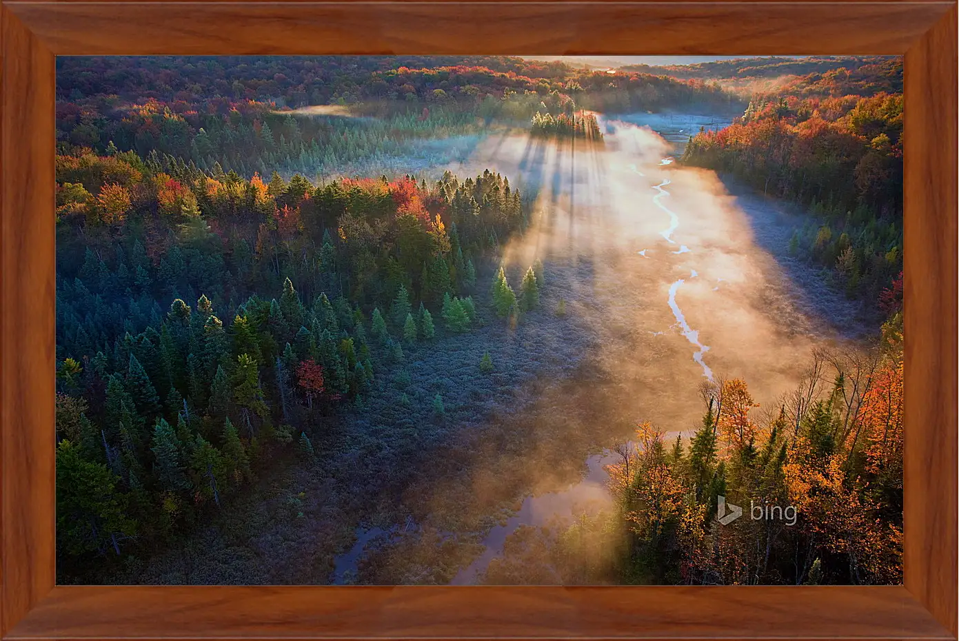 Картина в раме - Осень