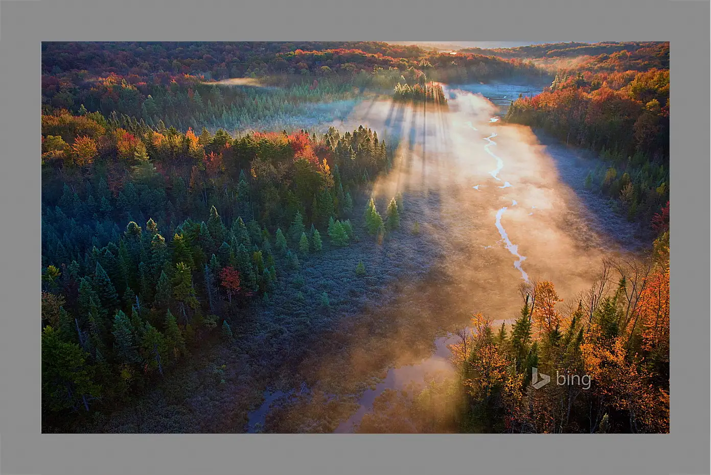 Картина в раме - Осень