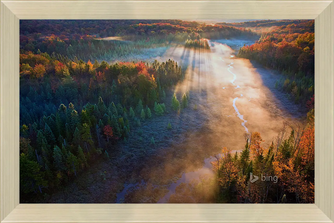 Картина в раме - Осень