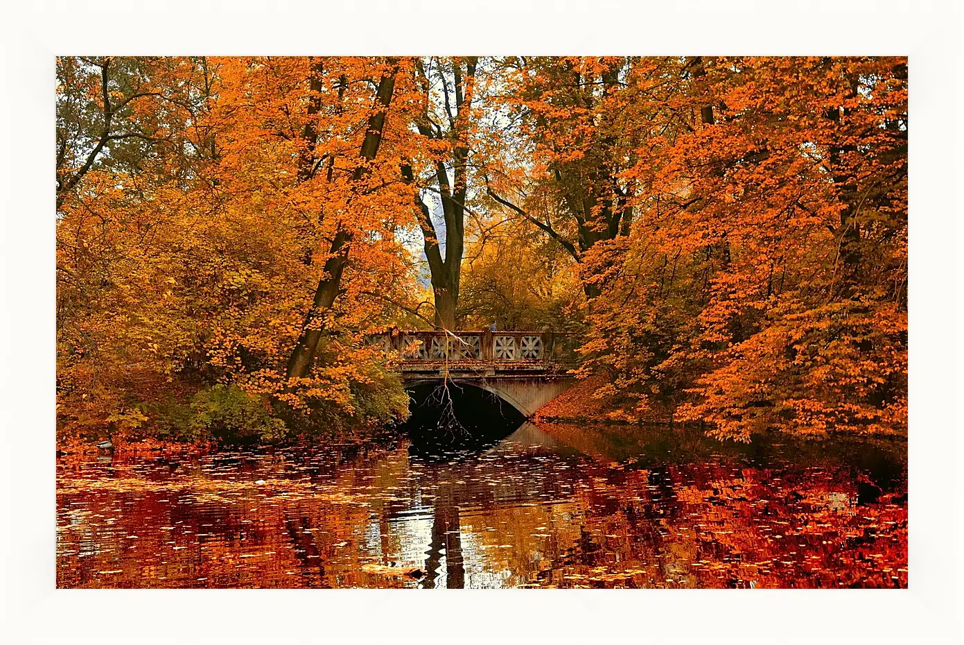 Картина в раме - Осень