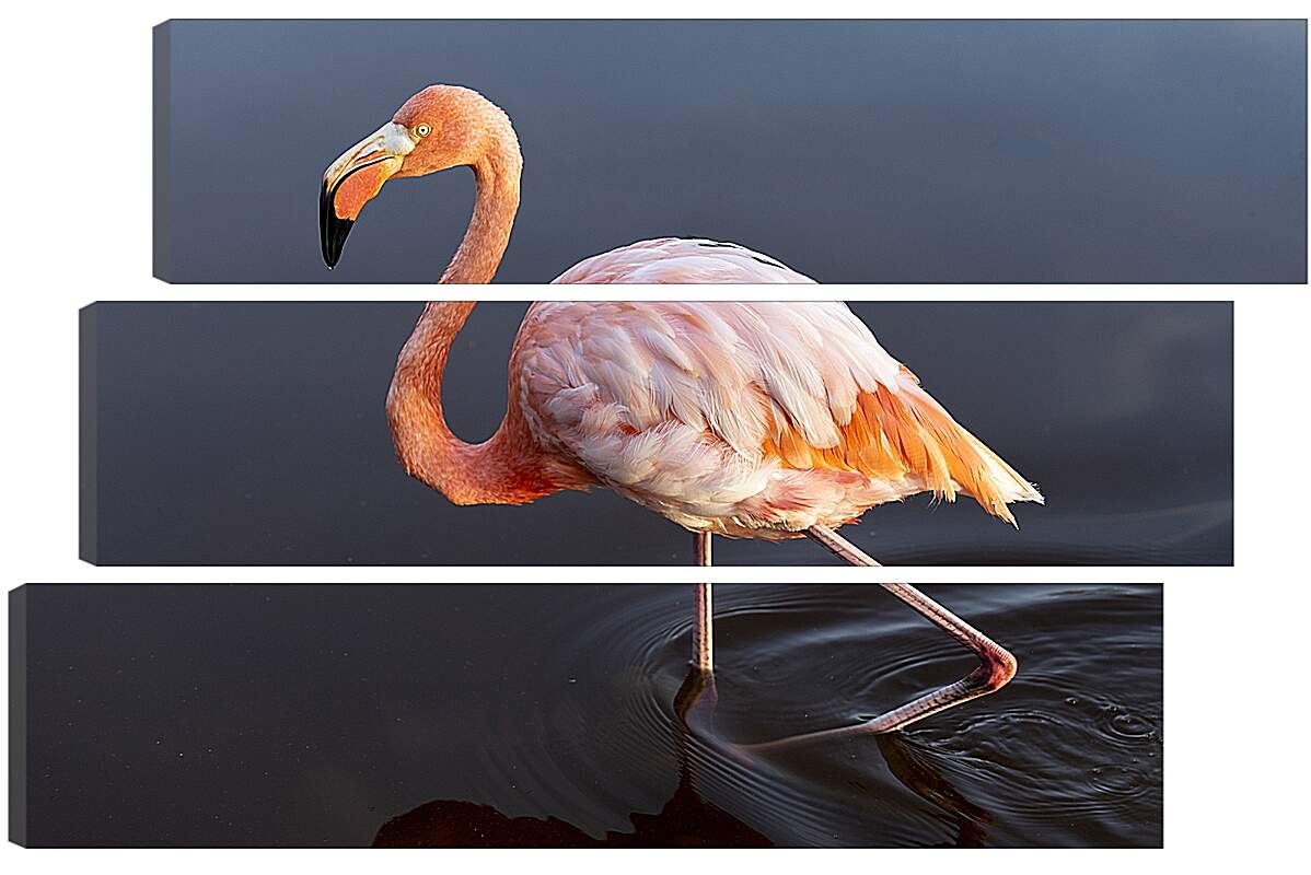Модульная картина - Розовый фламинго в воде