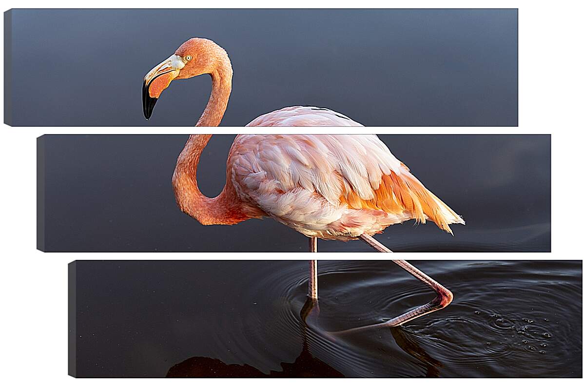 Модульная картина - Розовый фламинго в воде
