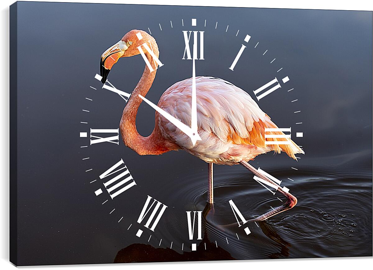 Часы картина - Розовый фламинго в воде