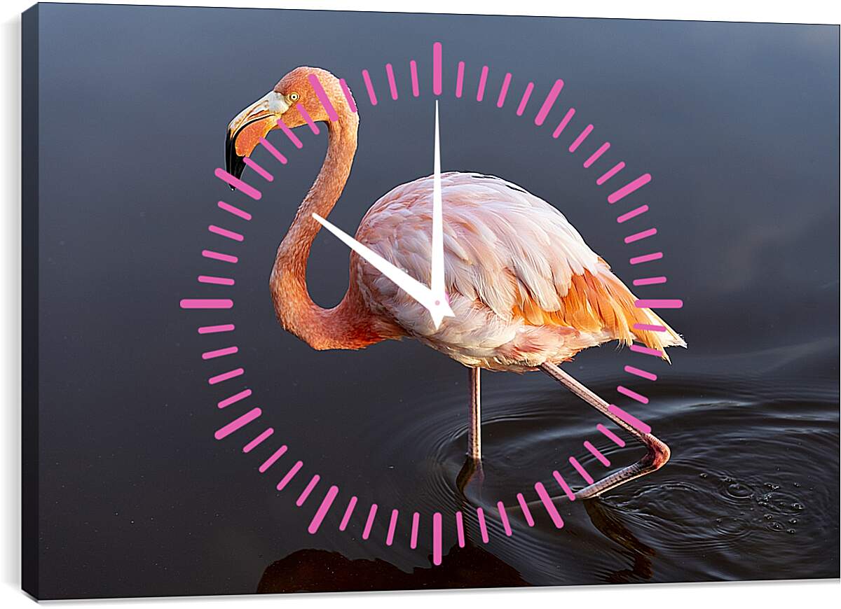 Часы картина - Розовый фламинго в воде