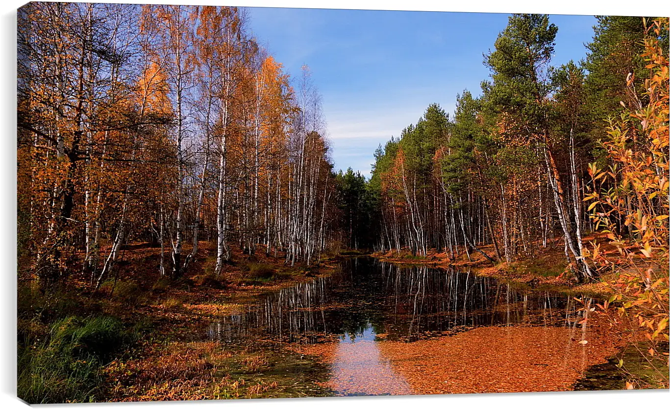 Постер и плакат - Осень