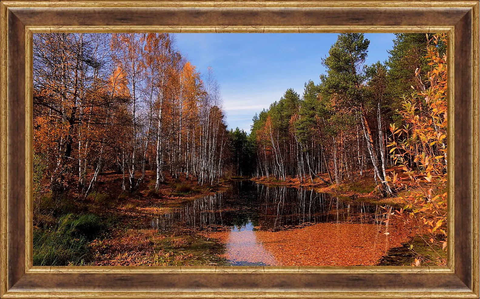 Картина в раме - Осень