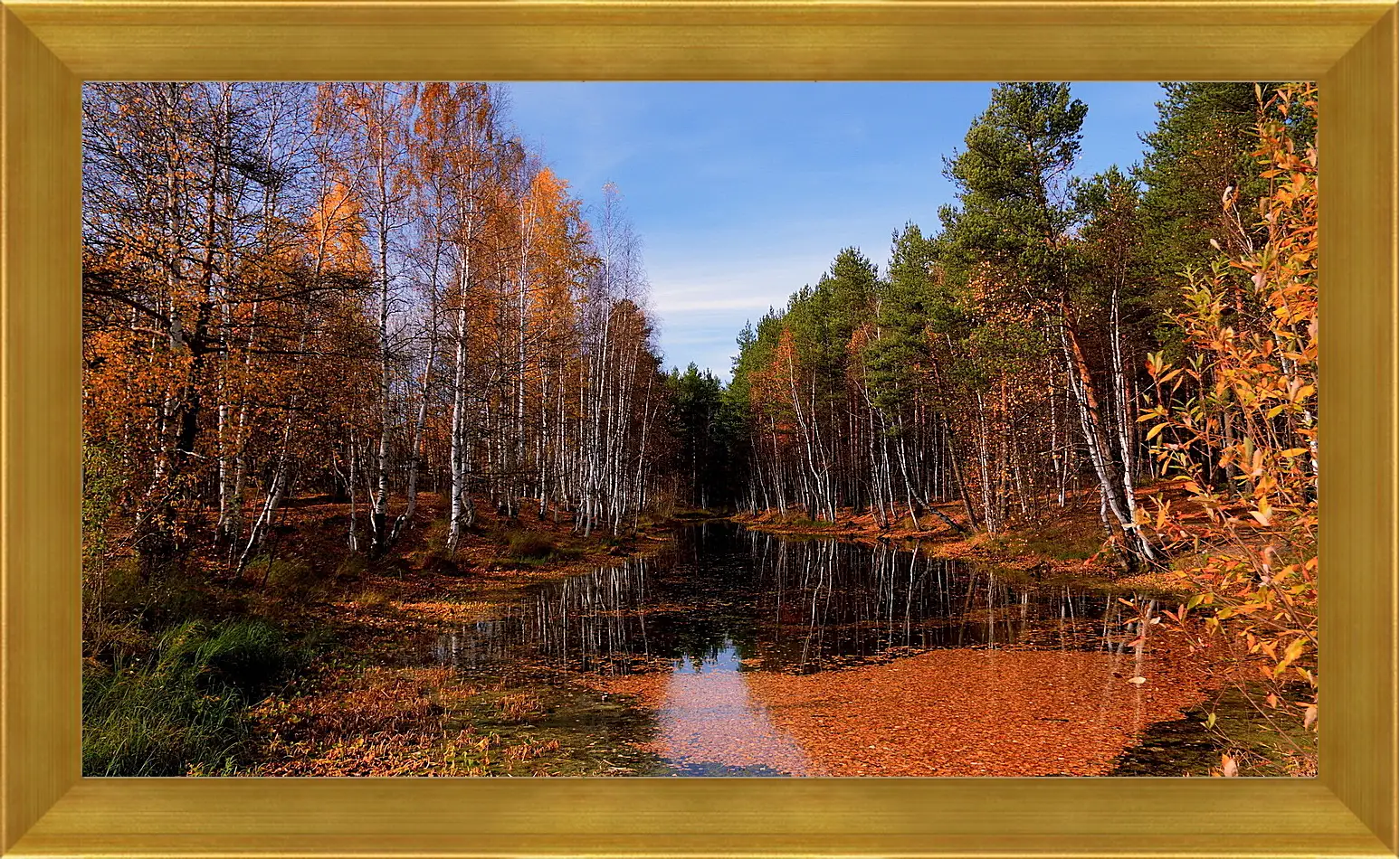 Картина в раме - Осень