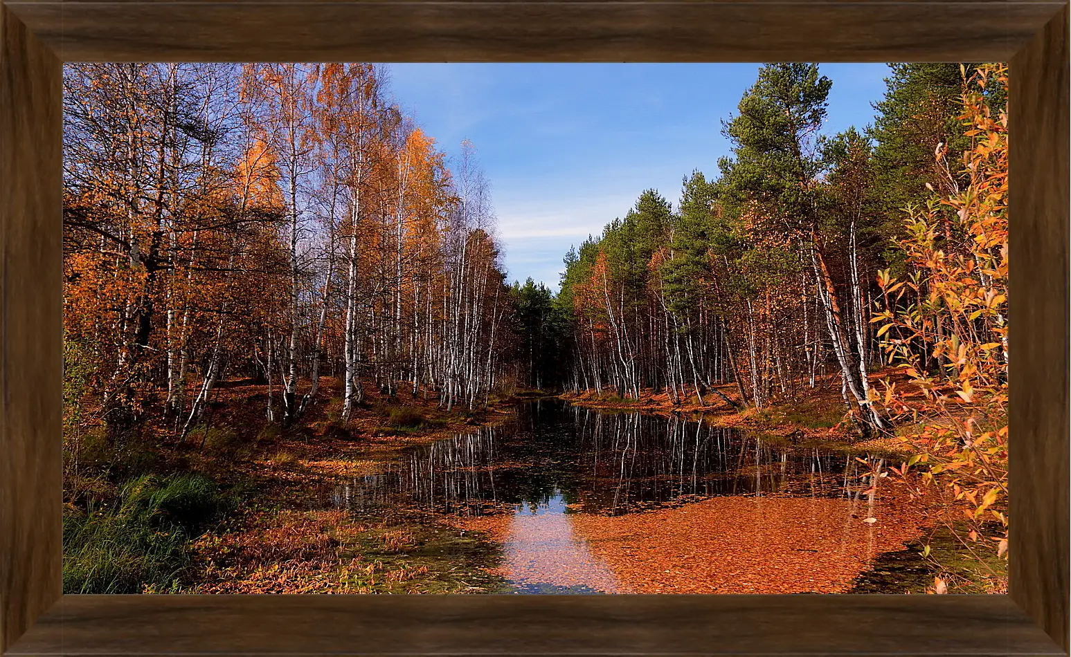 Картина в раме - Осень