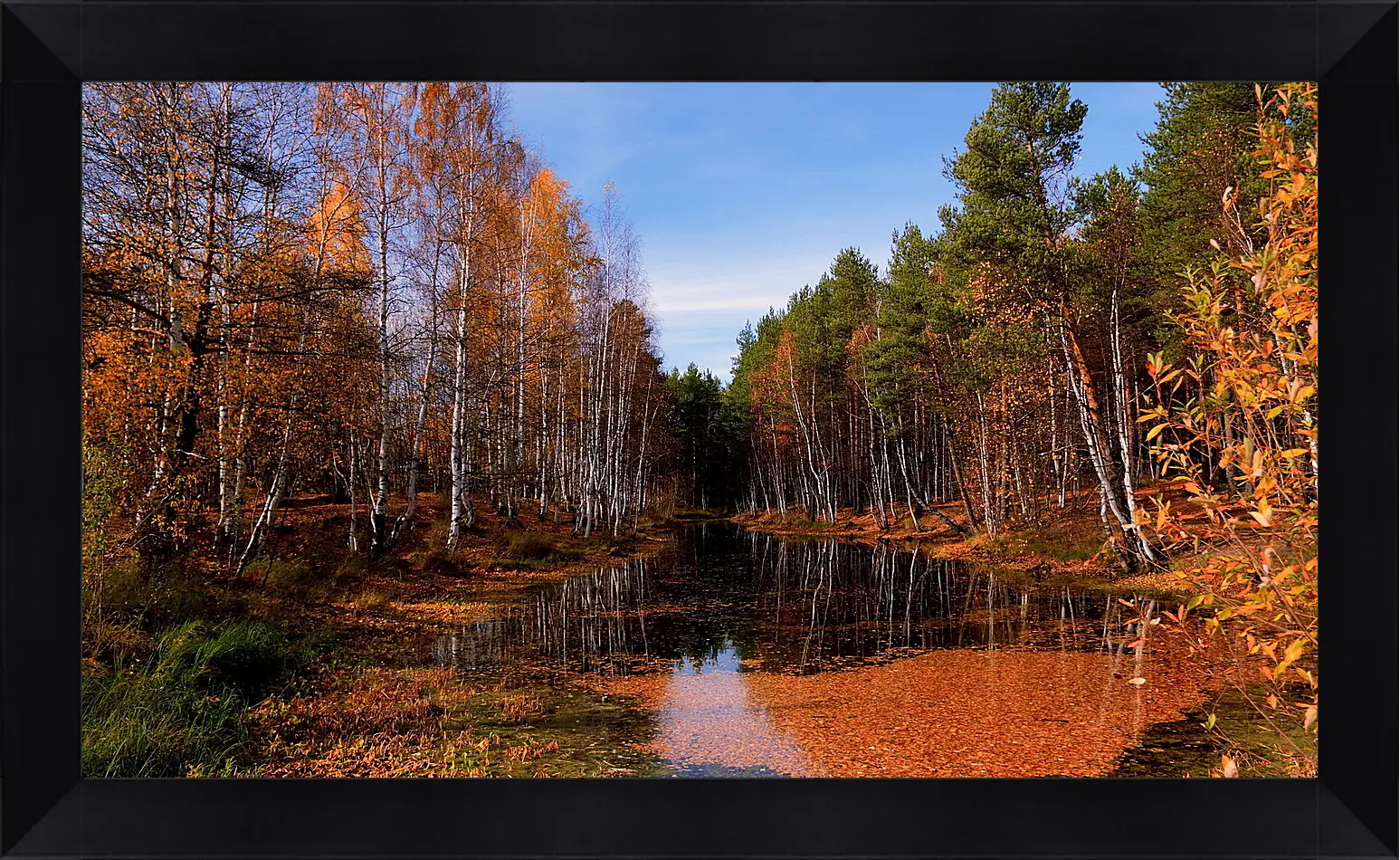 Картина в раме - Осень