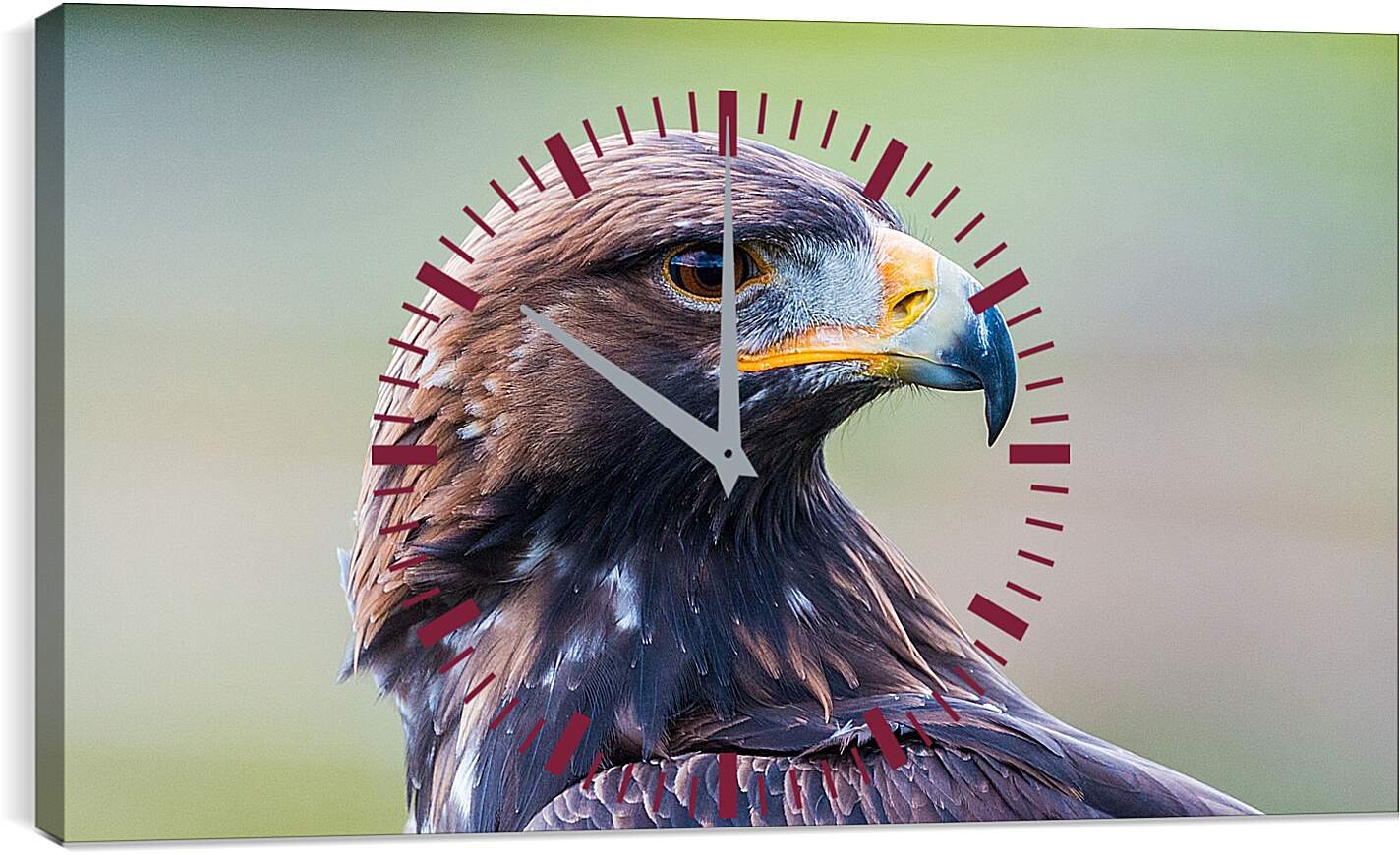 Часы картина - Голова орла