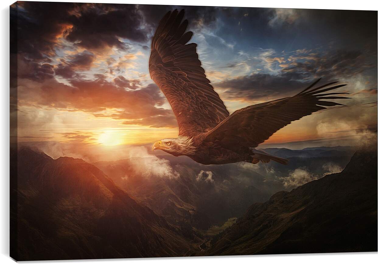 Постер и плакат - Орёл в полёте