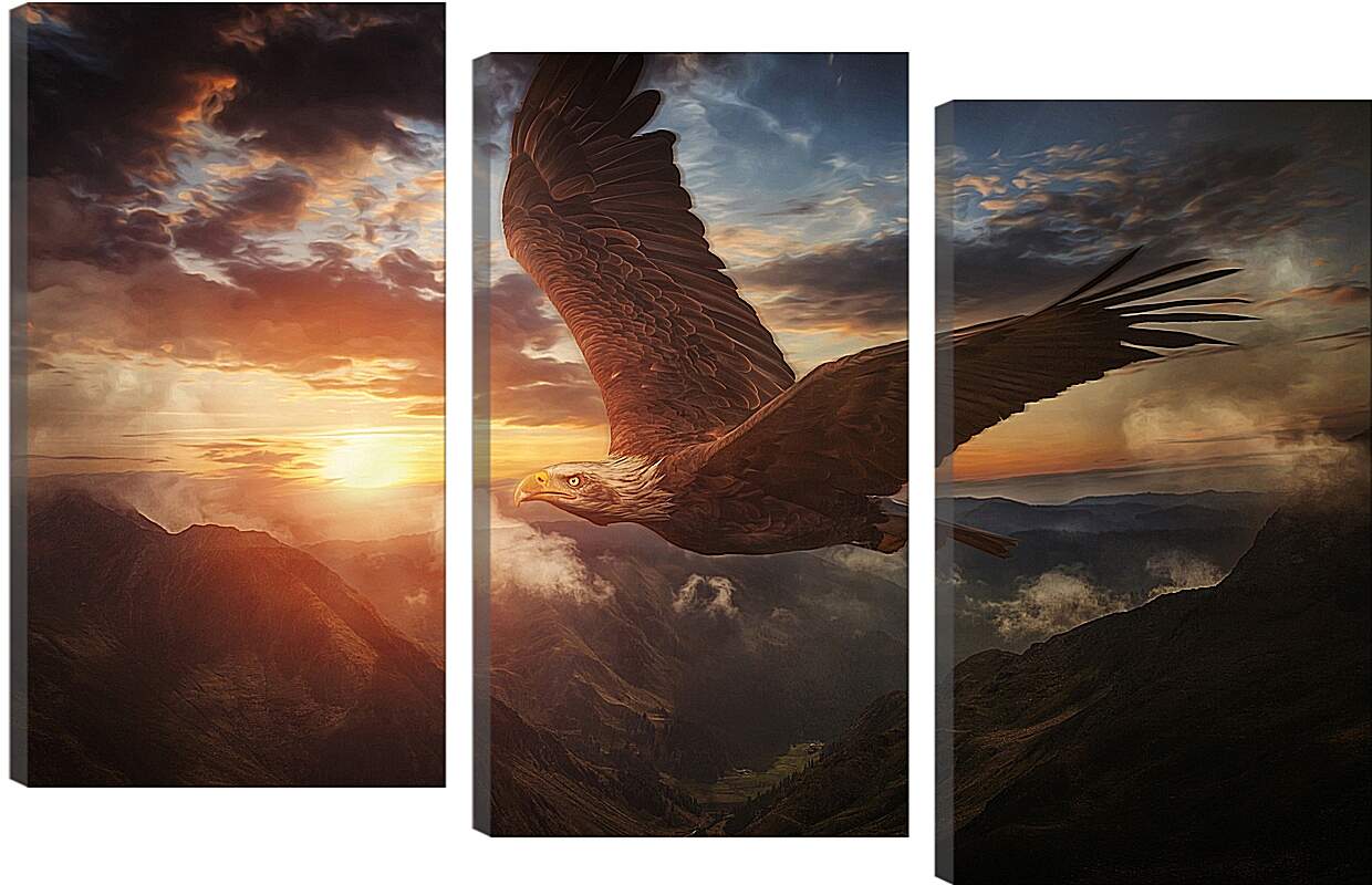Модульная картина - Орёл в полёте