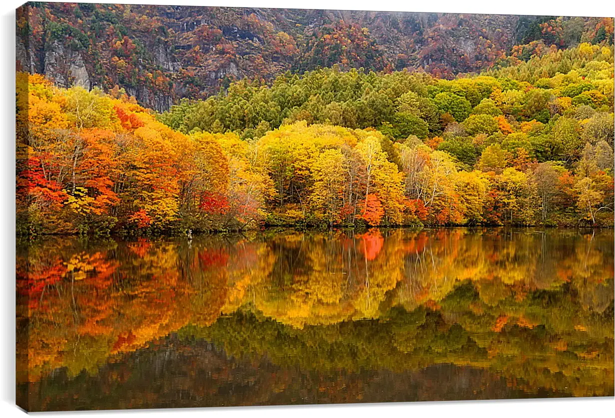 Постер и плакат - Осень