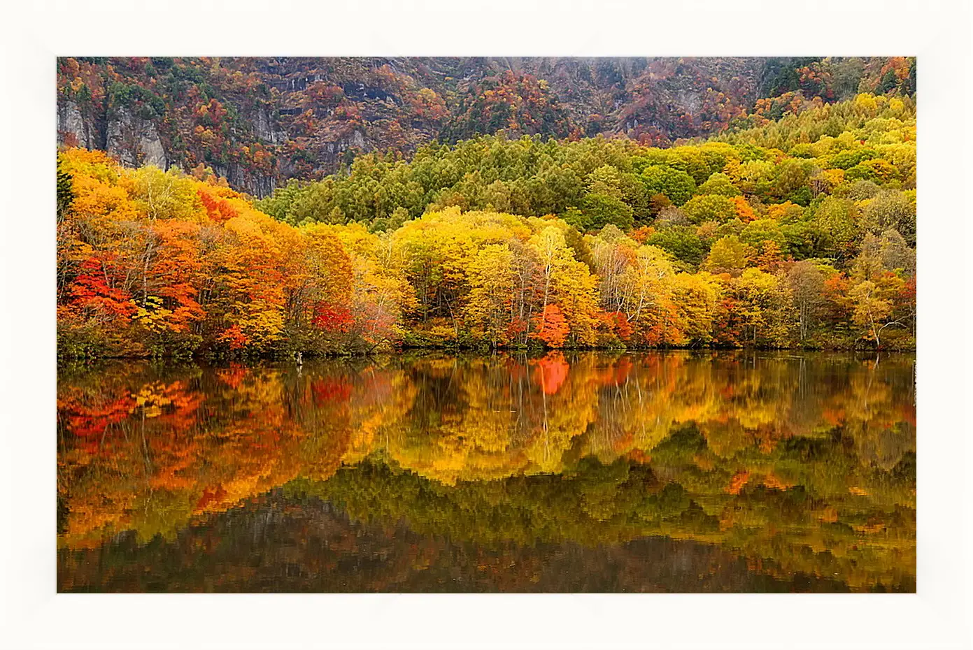 Картина в раме - Осень