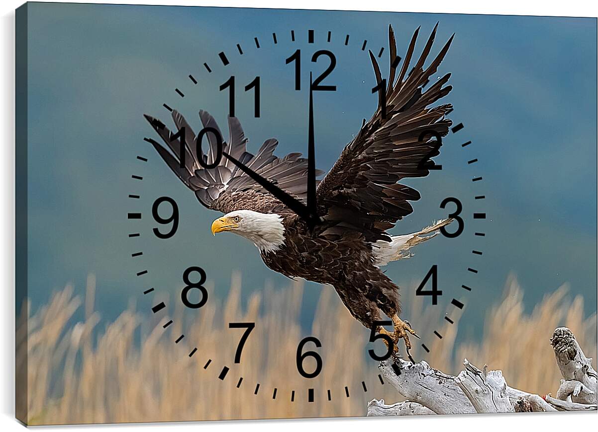 Часы картина - Орёл на взлёте