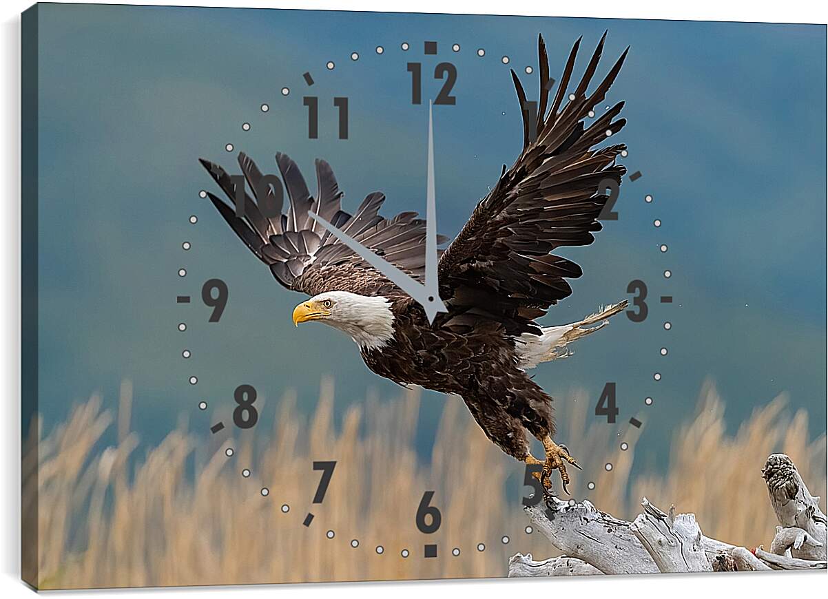 Часы картина - Орёл на взлёте