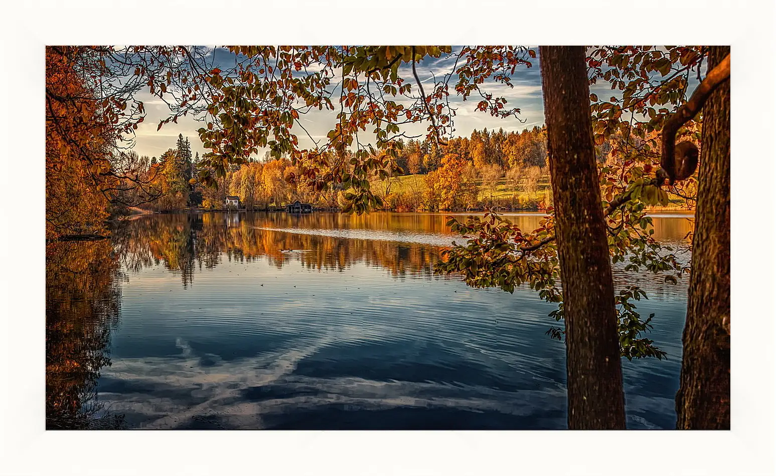 Картина в раме - Осень