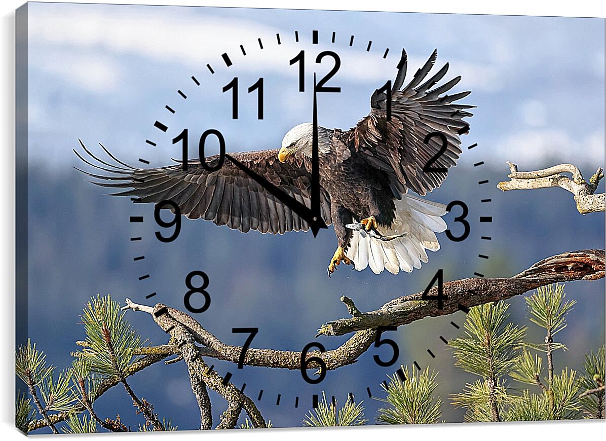 Часы картина - Орёл садится на ветку