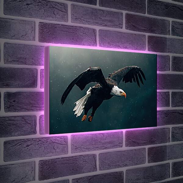 Лайтбокс световая панель - Орёл парит