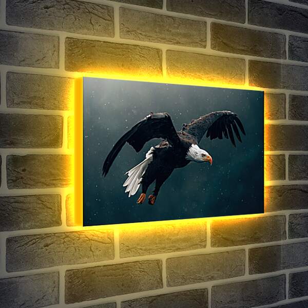 Лайтбокс световая панель - Орёл парит