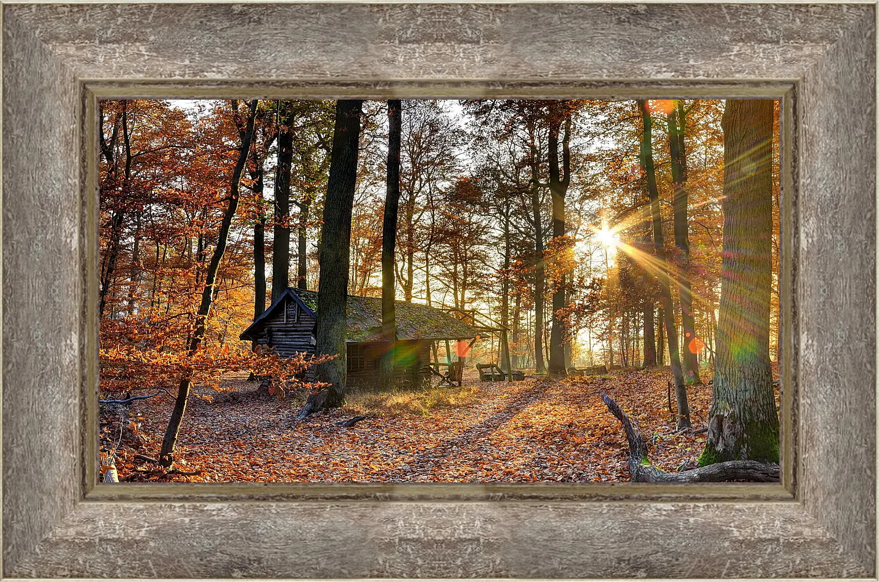 Картина в раме - Осень