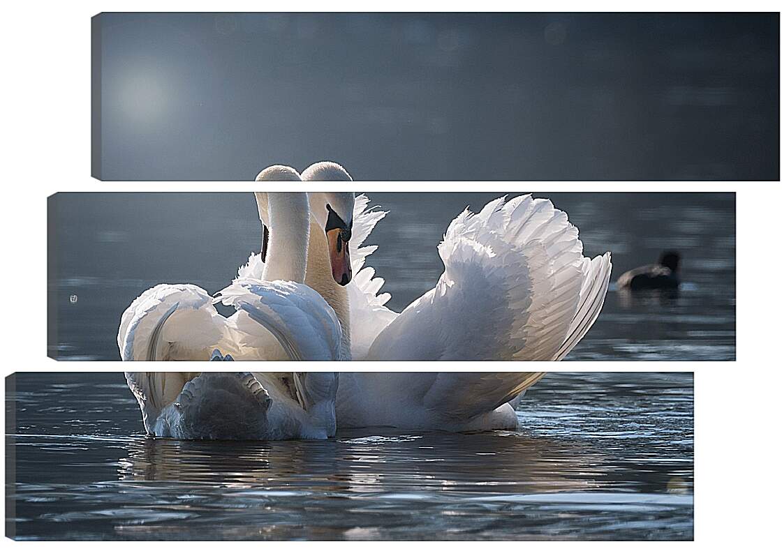 Модульная картина - Пара лебедей