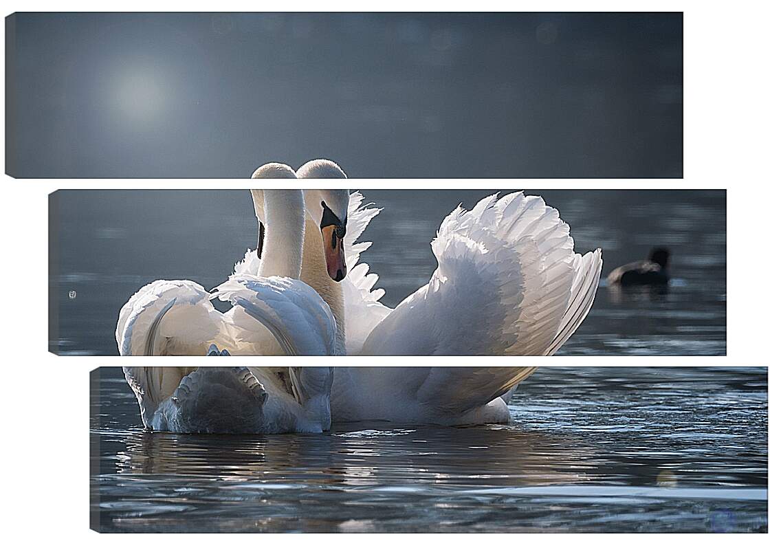 Модульная картина - Пара лебедей
