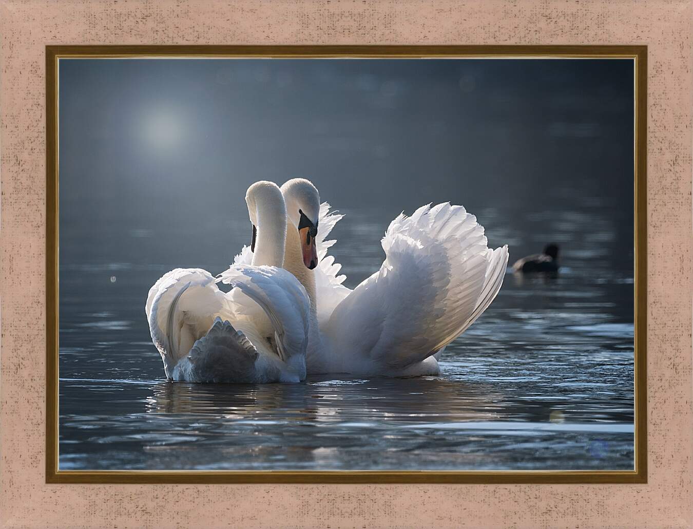 Картина в раме - Пара лебедей