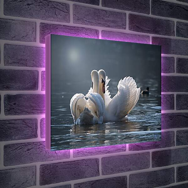 Лайтбокс световая панель - Пара лебедей